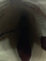 New Men’s Brown Texas Brand Cowboy Boots. M 311 9.5 9 1/2 D. 5-11