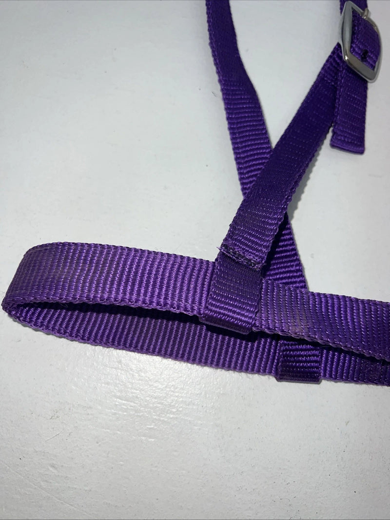 New Tough 1 Purple Nylon Web Noseband Nickle Plated Hardware #53-9043 3C-1