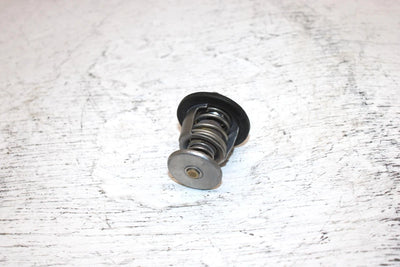 1999 Polaris 500 Xc Oem Thermostat 7052232 7052267 SP28