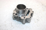 03 Bombardier Rally 175 Oem Cylinder 420613346 AB7