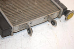 03 Bombardier Rally 175 Oem Radiator A19100179000 AB7