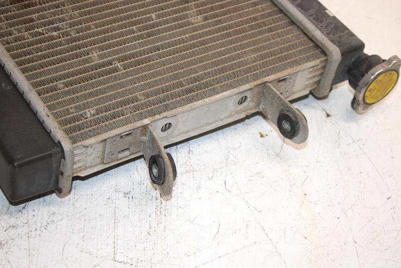 03 Bombardier Rally 175 Oem Radiator A19100179000 AB7