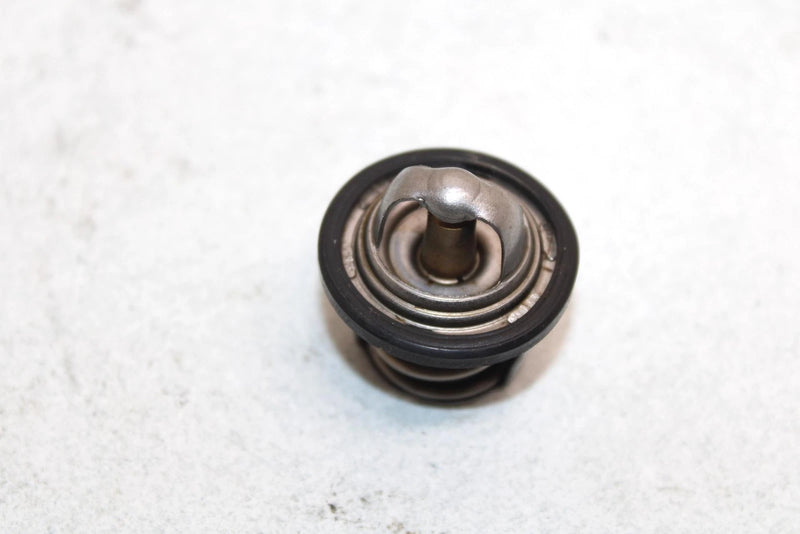 03 Suzuki Vinson 500 Lt-f500f Oem Thermostat 17670-08D10 17670-08D11 AS24