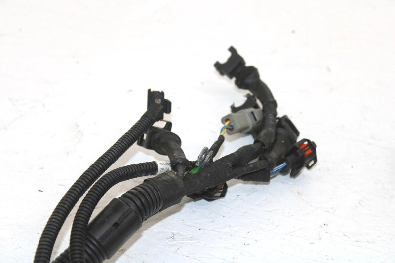 Ski-doo Oem Engine Wiring Harness 420664317 B121