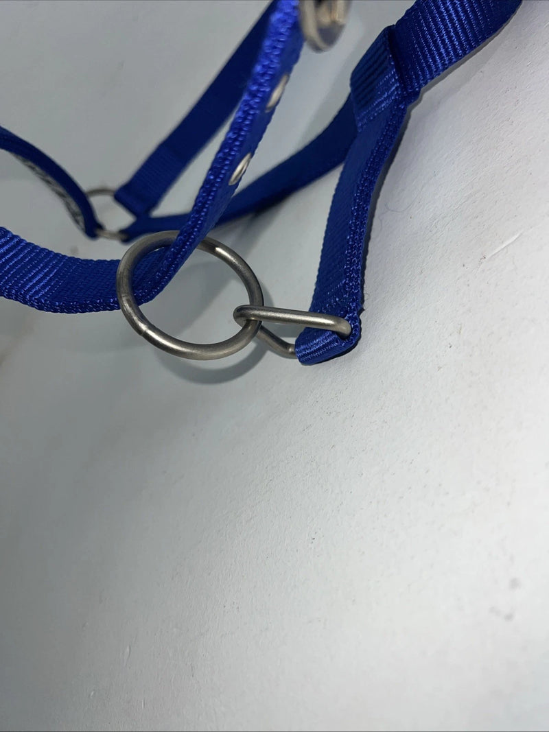 New Tough 1 Blue Nylon Satin Hardware Full Horse Halter #50-2031 3C-13