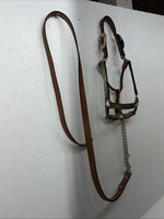 New Light Oil Genuine Leather Show Halter With Lead Rope Silver Accents W-22