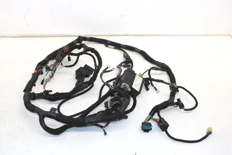 08 Polaris Iq Fst Cruiser Oem Main Wiring Harness  2410925 SP174