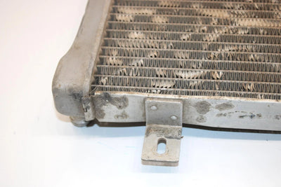 00 Polaris Sportsman 500 Rse Oem Radiator 1240045 1240533 APS