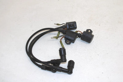 Polaris Oem Ignition Coil Set of 3 3084469 Q983