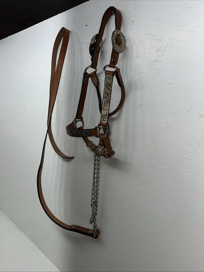 New Light Oil Genuine Leather Show Halter With Lead Rope Silver Accents W-22