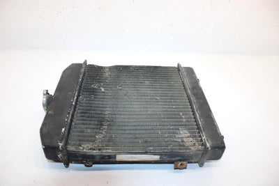 97 Arctic Cat Bearcat 454 4x4 Oem Radiator 0413-001 AA24