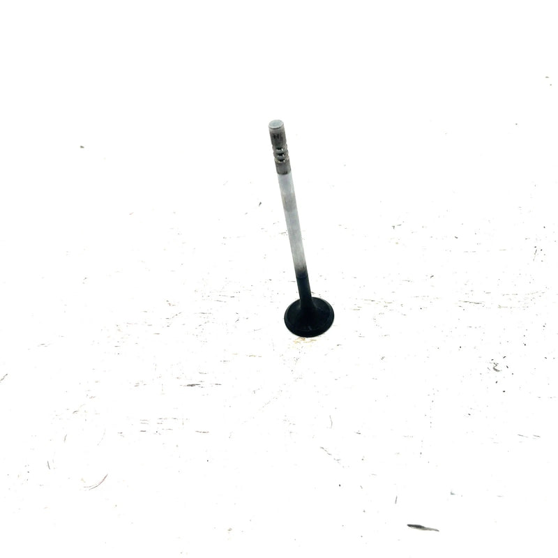 03-04 Polaris Sportsman 600 OEM Exhaust Valve 5133141 AP234