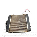 2006 Arctic Cat 650 4x4 V2 Stewart Auto OEM Radiator 0413-184 AA37