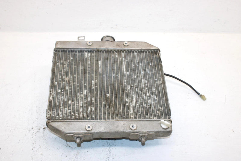 2001 Honda Trx 500 Faa Fourtrax Forman Oem Radiator Set 19030-HN2-013 AH56