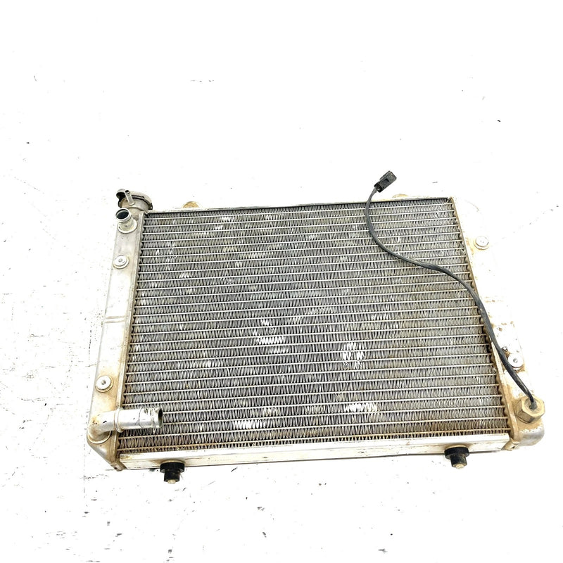 04-05 Polaris Ranger 500 4X4 OEM Radiator 1240459 XP9