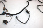 2005 Polaris Sportsman 500 Ho Oem Main Wire Harness 2410466 AP176