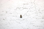 2001 Ski-doo Mxz 800 Oem Choke Set Screw 404161910 SS19