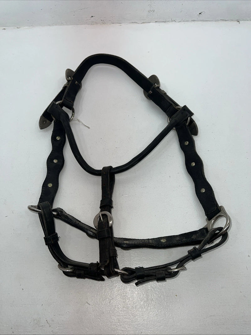 New Black Leather Full Horse Show Halter Gold accents 3C-15