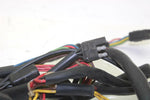 96 Arctic Cat Jag Liquid OEM Main Harness 0686-139 SA86