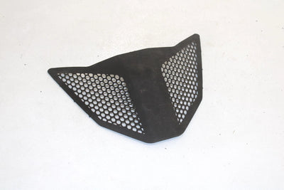 Polaris Oem Center Hood Screen Black 5435838-070 B45