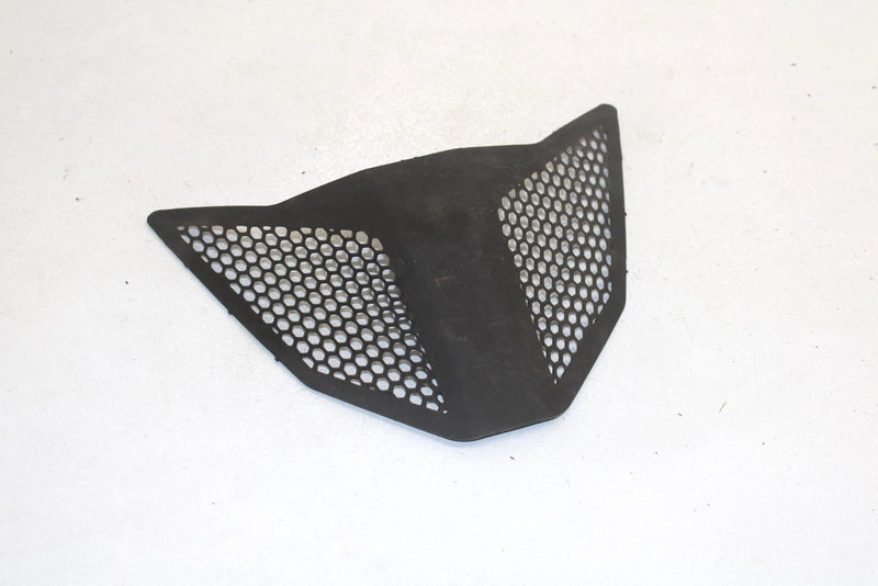 Polaris Oem Center Hood Screen Black 5435838-070 B45