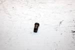 1987 Honda Atc 90a Oem Oil Pump Shaft 15181-028-050 AH57