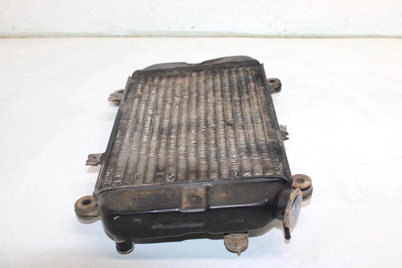 96 Kawasaki Bayou 400 4x4 Oem Coolant Radiator 39060-1110 AK11
