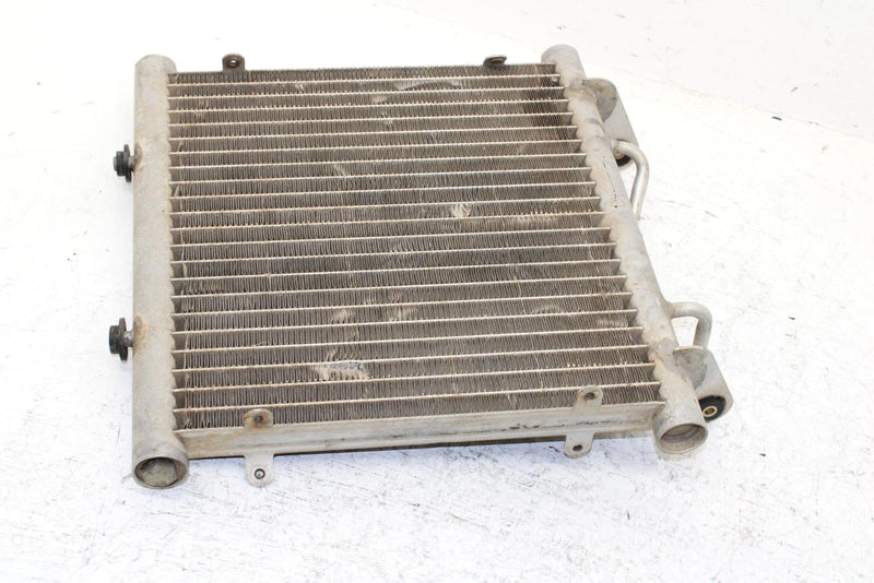 2002 Arctic Cat 375 Automatic (4x4 Green) Oem Radiator 0413-053 AA29