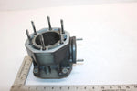 1998 Arctic Cat Ts-l 1000 Oem 81mm Bore Cylinder 3008-506 JA11