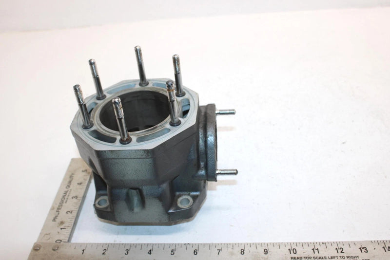 1998 Arctic Cat Ts-l 1000 Oem 81mm Bore Cylinder 3008-506 JA11