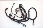 06 Polaris Edge 600 Touring Oem Main Wiring Harness 2461149 SP179
