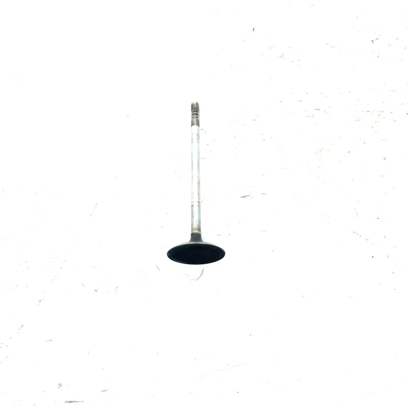 03-04 Polaris Sportsman 600 OEM Intake Valve 5131417 AP234