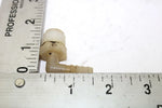 Arctic Cat OEM Oil Tank Outlet Fitting 0670-075 Q2385