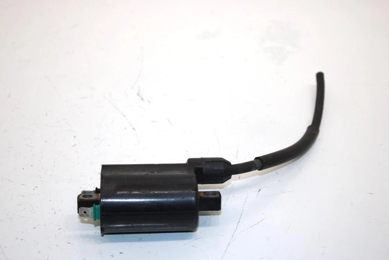 08 Arctic Cat Atv 250 Utility 2x4  Oem Ignition Coil 3303-830 AA13