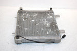 2002 Polaris Sportsman 500 Oem Radiater W/Screen 1240533 5433317 AP154