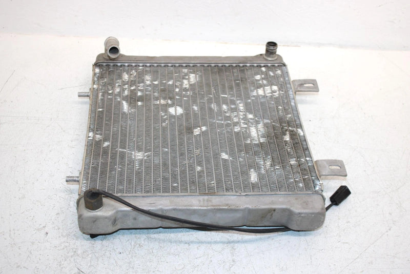 2002 Polaris Sportsman 500 Oem Radiater W/Screen 1240533 5433317 AP154