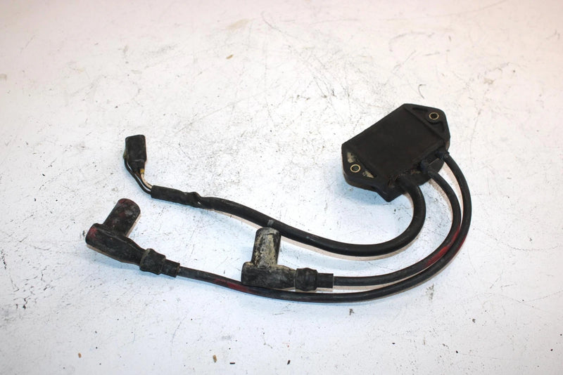 96 Polaris Trail Oem Cdi Ecu Ecm Ignition Box 3084007 SP60