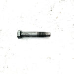 96-99 Polaris Xplorer 300 OEM Swing Arm Pivot Bolt Set 7512702 AP237