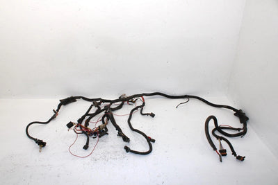 2000 Polaris Sportsman 500 Oem Main Wire Harness 2460784 AP213