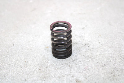 2001 Yamaha  Raptor 660r Oem Exhaust Valve Spring 5LP-12114-00-00 AY33