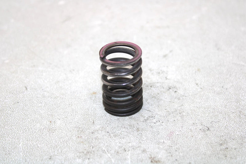2001 Yamaha  Raptor 660r Oem Exhaust Valve Spring 5LP-12114-00-00 AY33