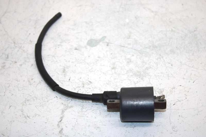 96 Suzuki King Quad 300 Ltf4wdx Oem Ignition Coil 33410-01X50 AS21