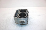 2002 Polaris Sportsman 700 Oem 80mm Bore Cylinder 2202158 AP184
