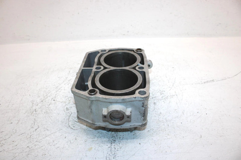 2002 Polaris Sportsman 700 Oem 80mm Bore Cylinder 2202158 AP184