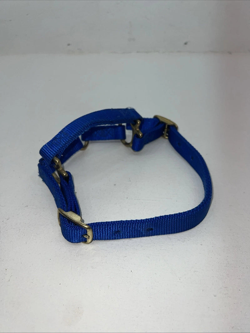 New Fabtron Blue Nylon Sheep Halter #NP121-2 3C-19