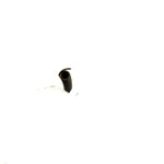 02-08 Yamaha Raptor 80 OEM Rear Brake Tension Spring 90506-16318-00 AY69