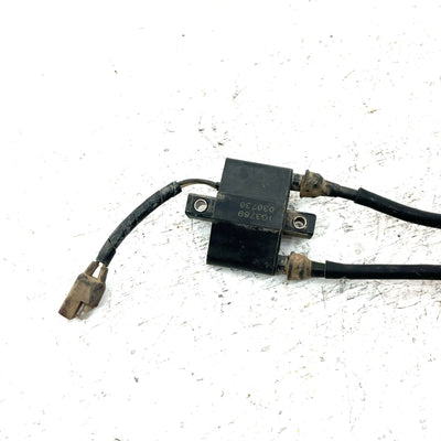 04-06 Polaris Sportsman 700 OEM Ignition Coil 4010898 AP219