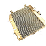 01-04 Honda Foreman Rubicon 500 TRX500 OEM Radiator 19010-HN2-505 AH95