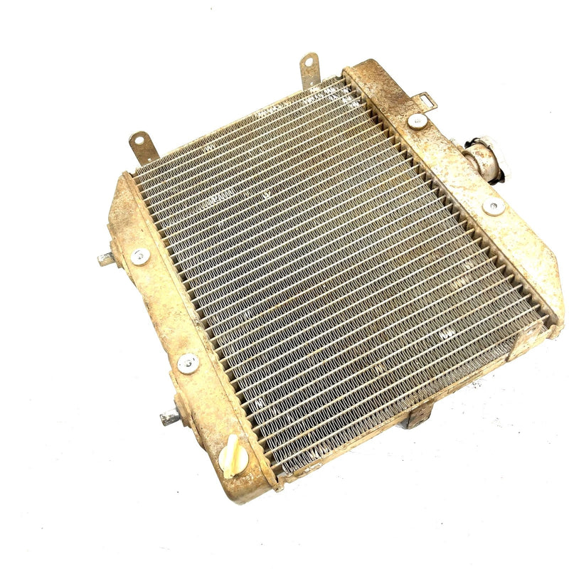 01-04 Honda Foreman Rubicon 500 TRX500 OEM Radiator 19010-HN2-505 AH95