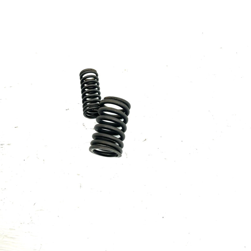 01-08 Honda Sportrax 250 TRX250 OEM Valve Spring Set 14761-HN6-000 AH83